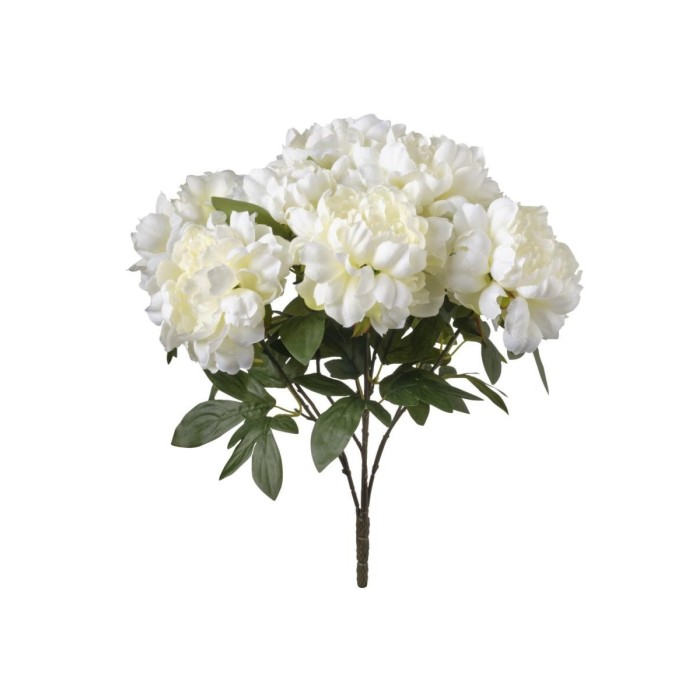 MAZZO PEONIE CM50 CREAM